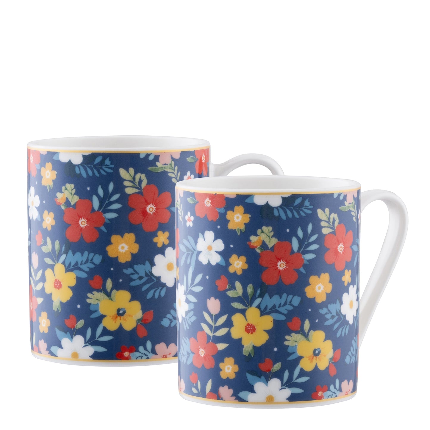Aynsley Midnight Garden Mugs - Pair