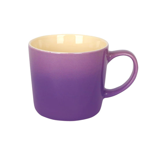 330ml New Bone China Ombre Mug